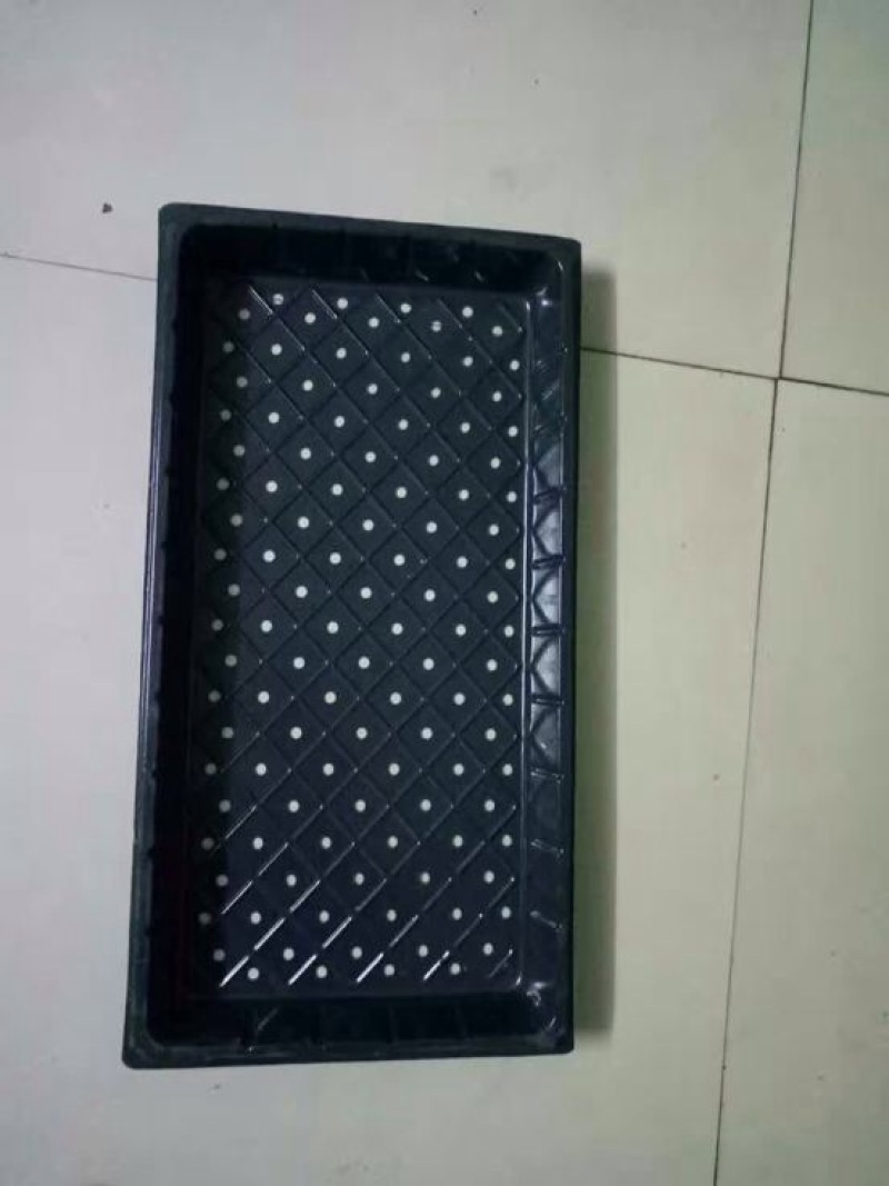 穴盘