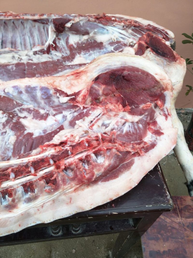 黑猪肉食用后腿肉未加工