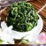 观音茶特级