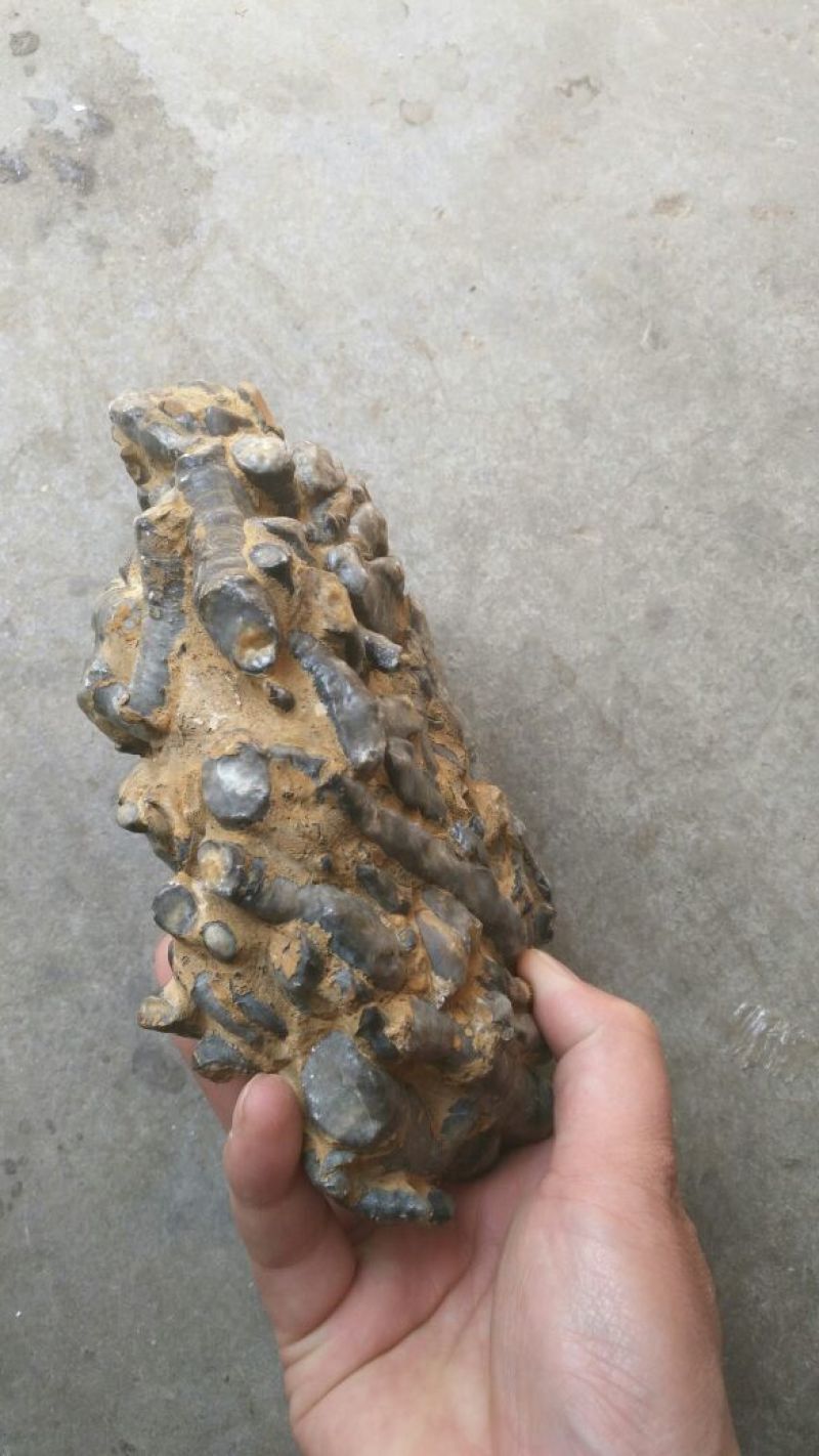 根雕茶台