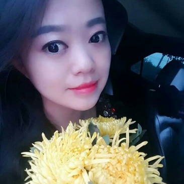 皇菊茶特级