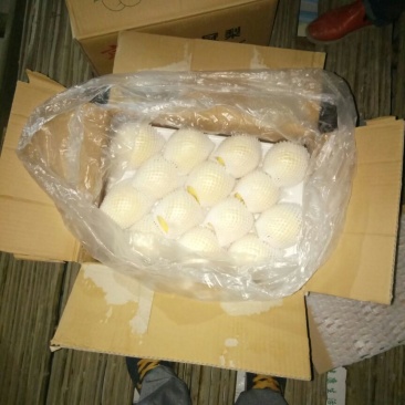 皇冠梨300~350g纸箱