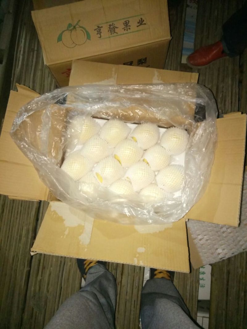 皇冠梨300~350g纸箱