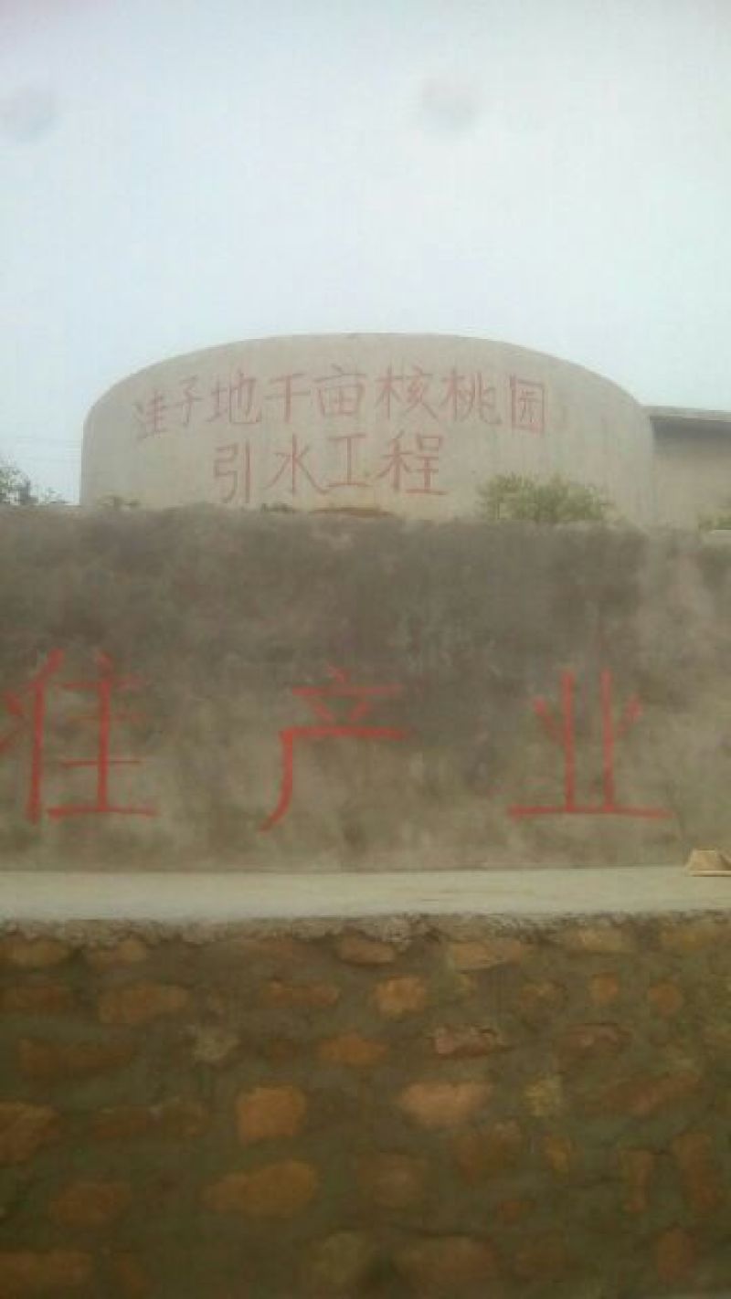 薄皮核桃去皮