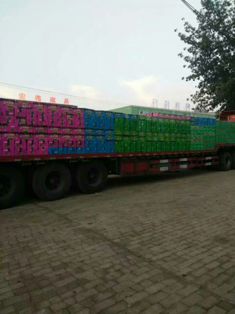 葡萄干无核一级