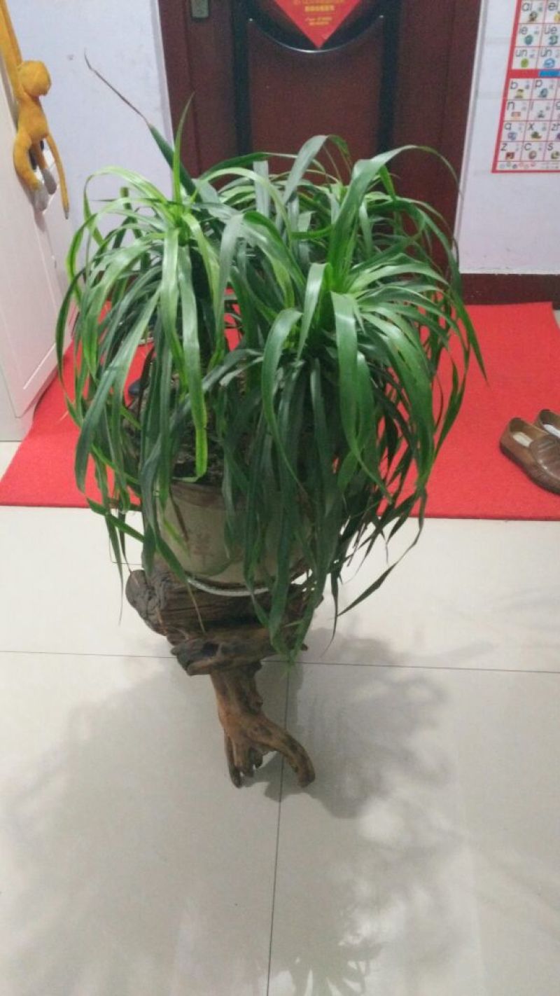 根雕茶几