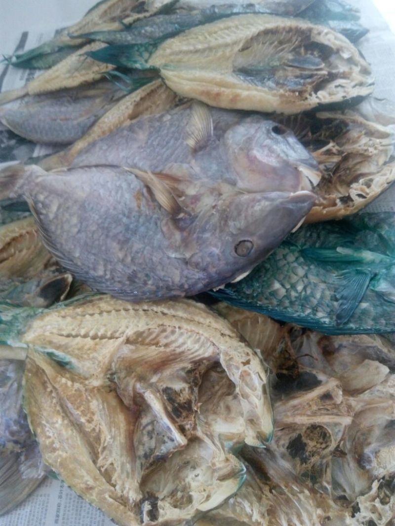 鱼干