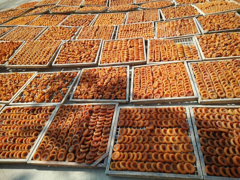 柿饼1两以下