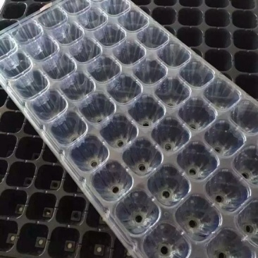 穴盘