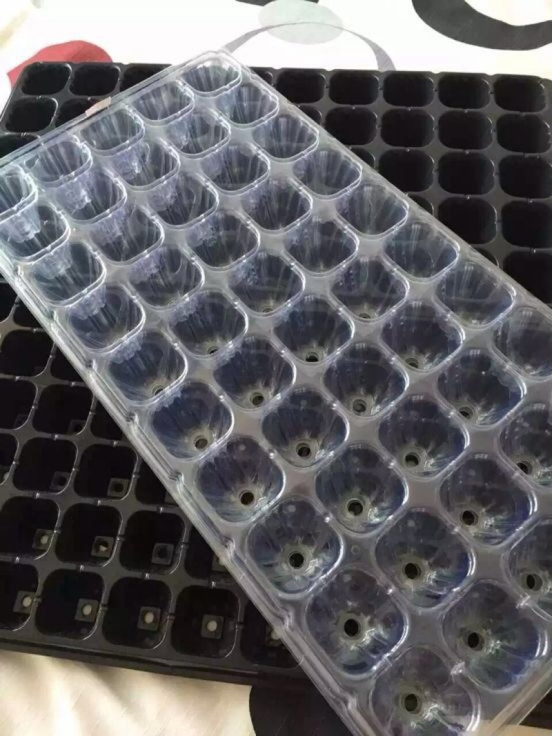 穴盘
