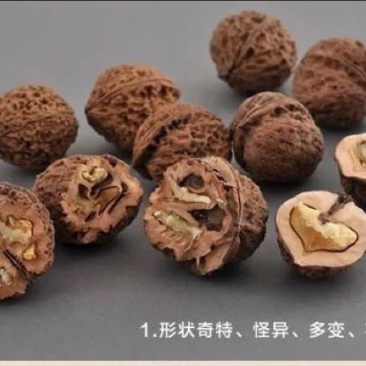 铁核桃