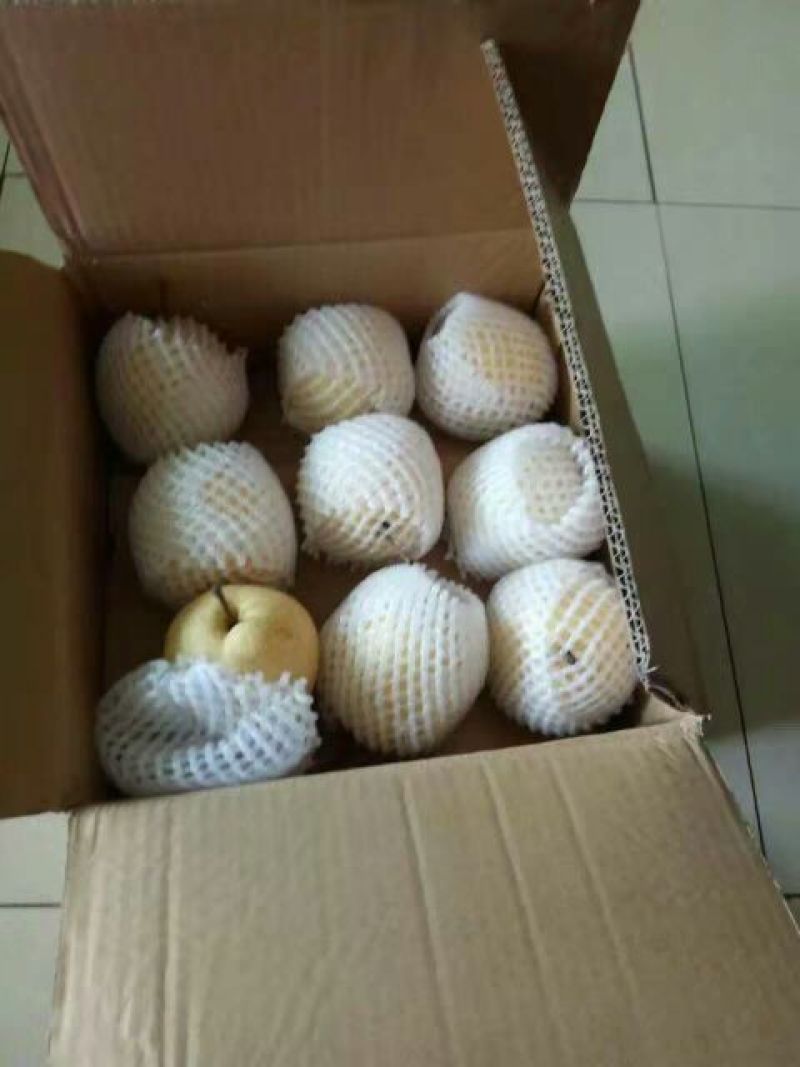 礼泉酥梨200~250g纸箱