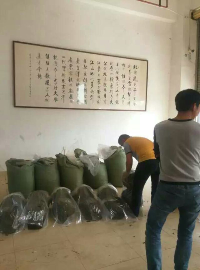 观音茶