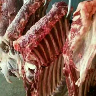 驴肉鲜货