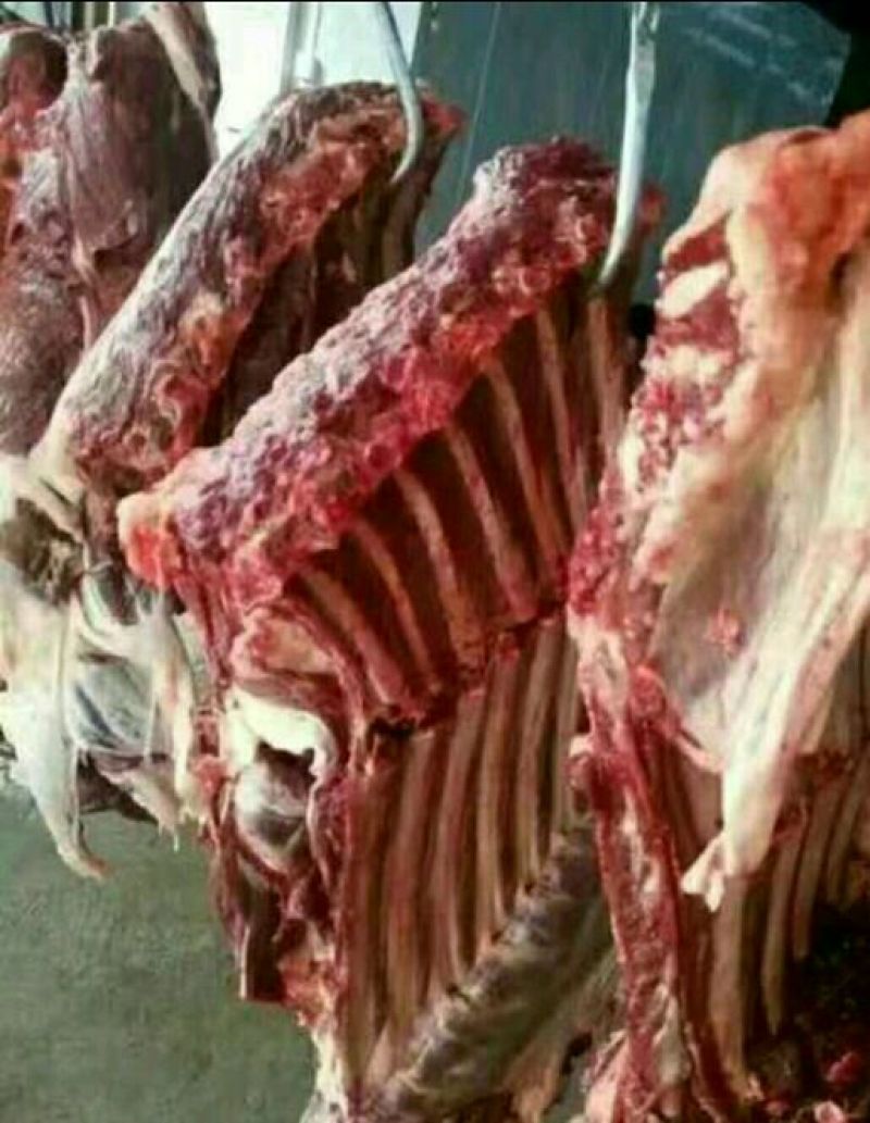 驴肉鲜货