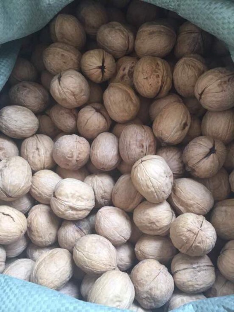 薄皮核桃