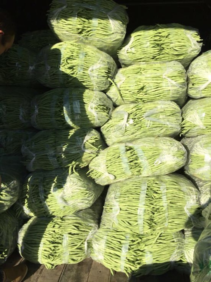 蛇豆大量上市欢迎新老客户选购