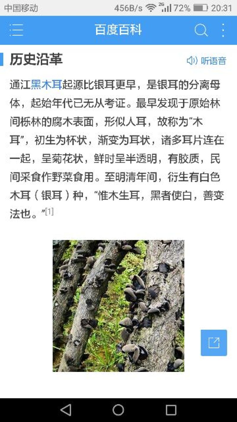 黑木耳特级