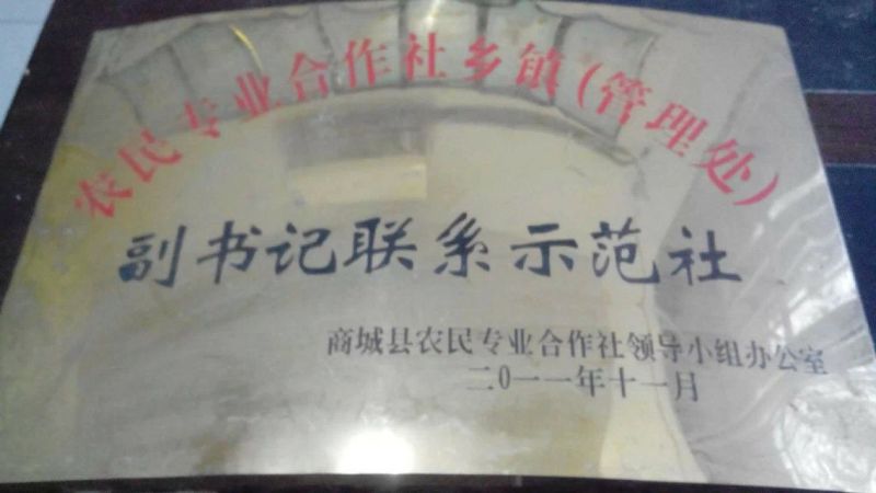 南方红豆杉，景观结果大树！