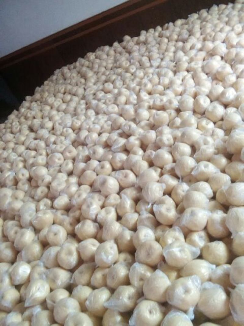 贡梨150~200g膜袋
