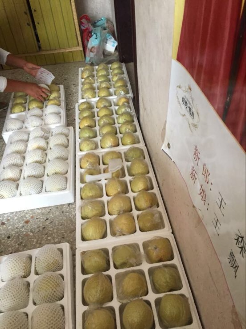 酥梨