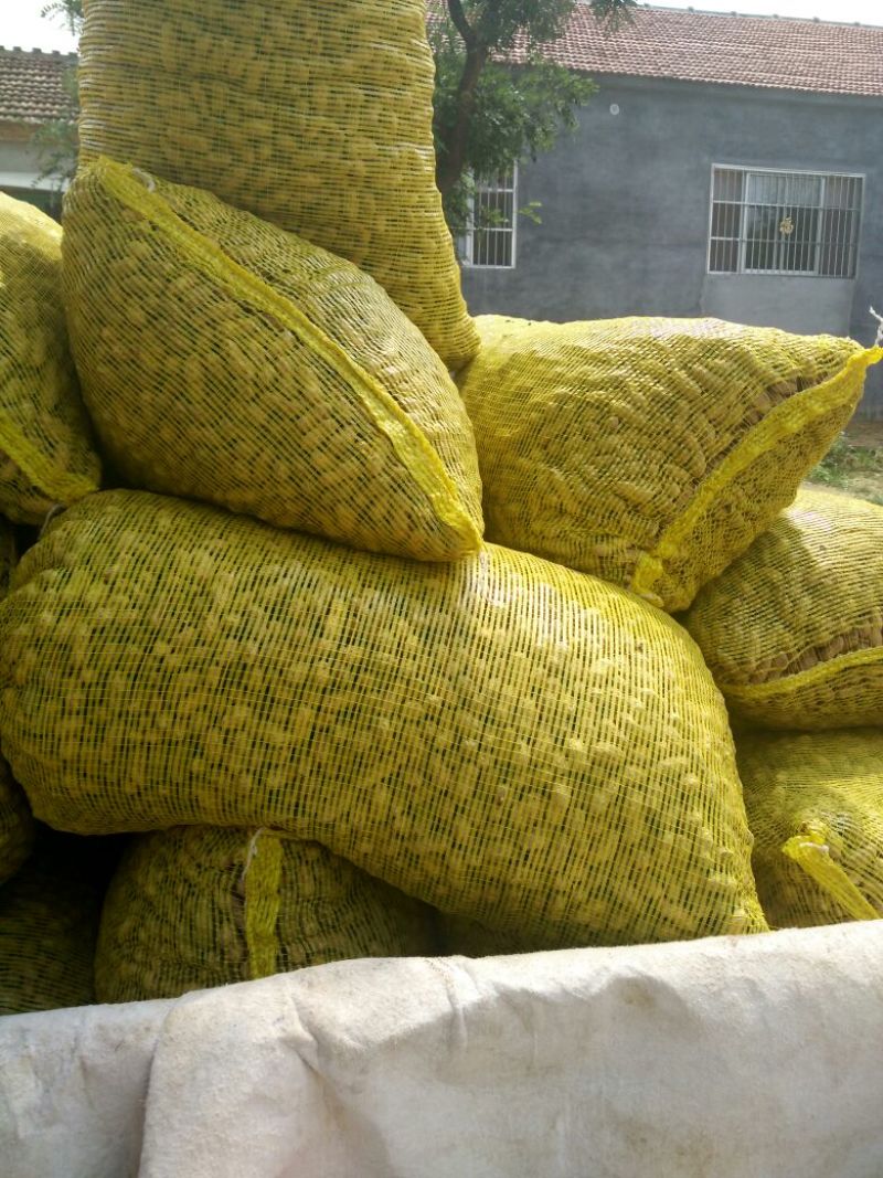 带壳花生鲜货带壳