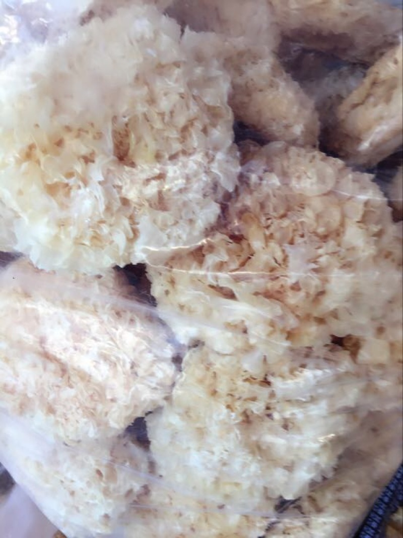 腐竹