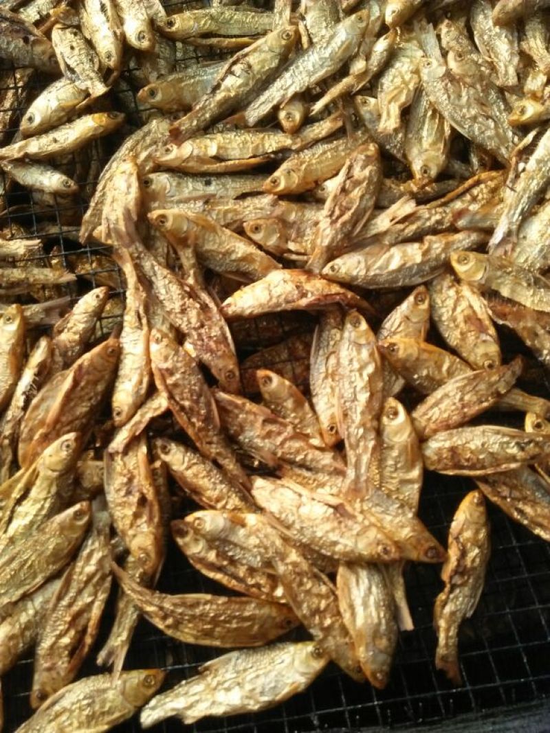 火焙鱼稻谷香味
