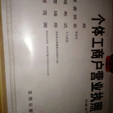 黄花菜种苗10cm以下