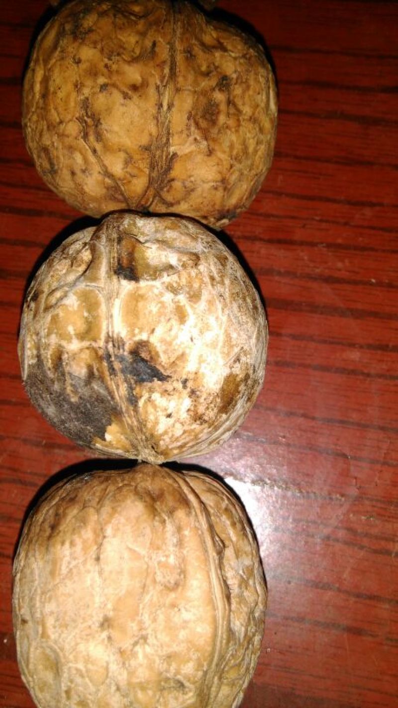 薄皮核桃40mm以上去皮干