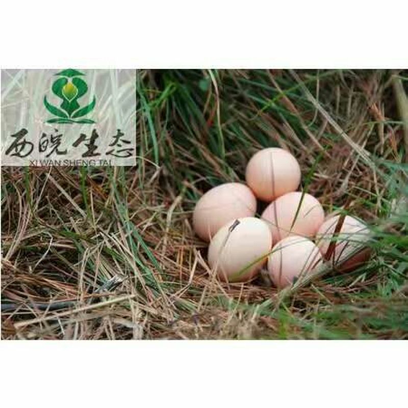 土鸡蛋食用50g以下
