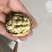 纸皮核桃