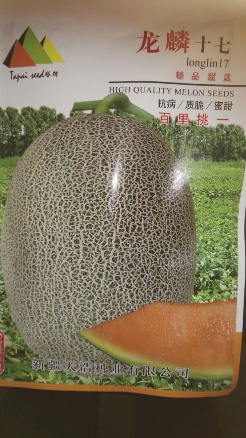 西州蜜瓜5斤以上椭圆形