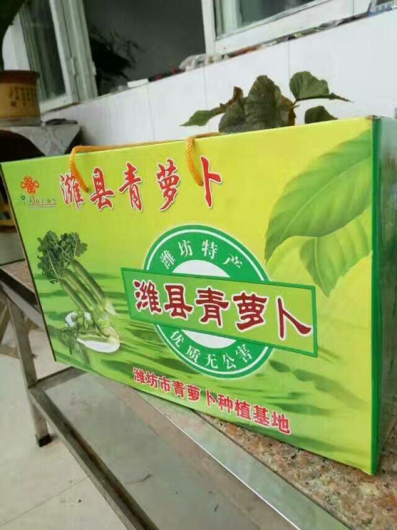 青萝卜1~1.5斤起