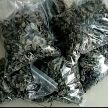 干木耳一级