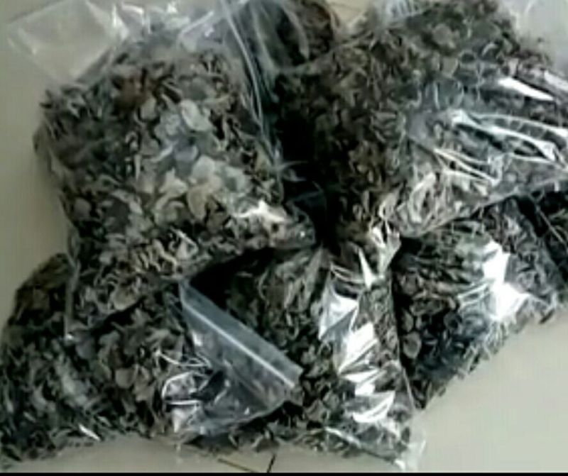 干木耳一级