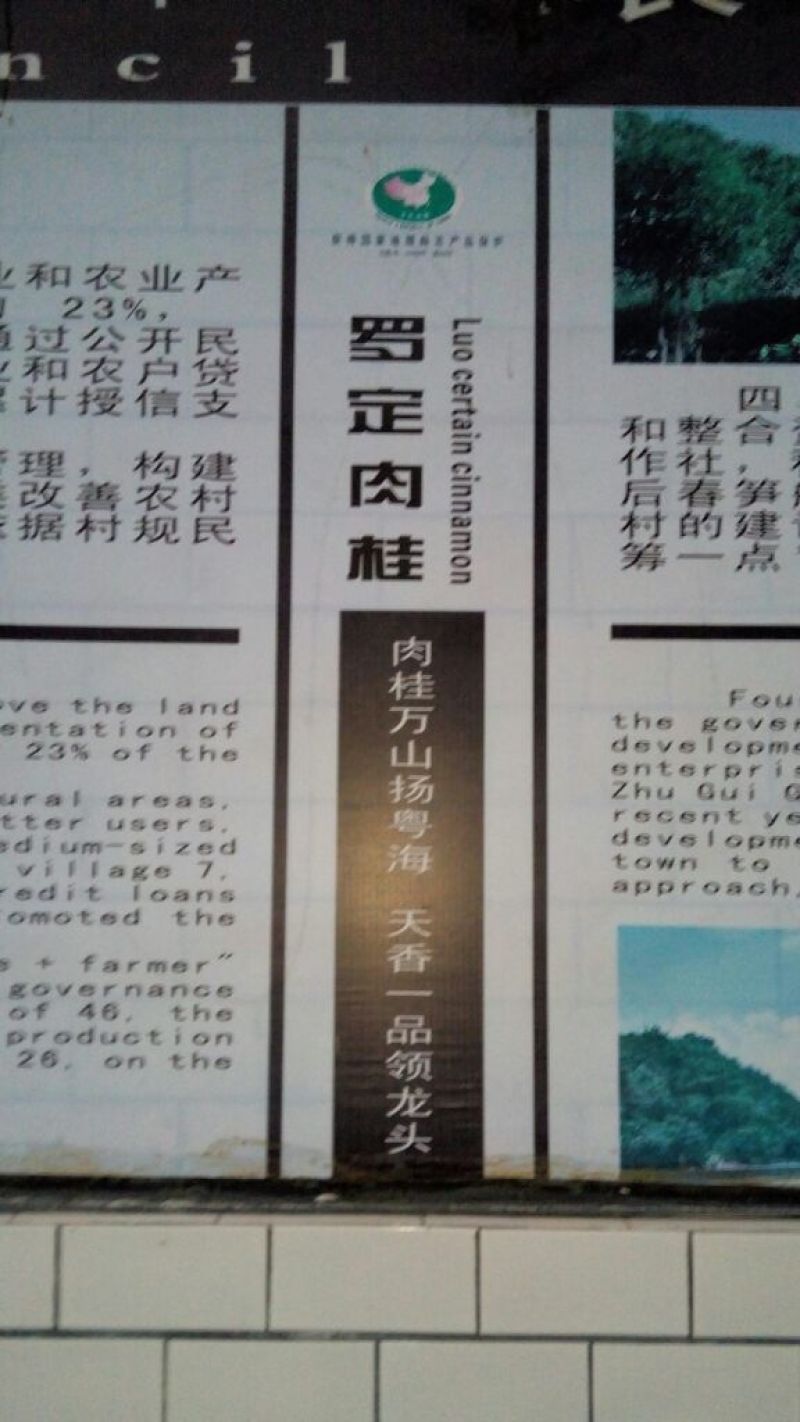 桶桂散装统货