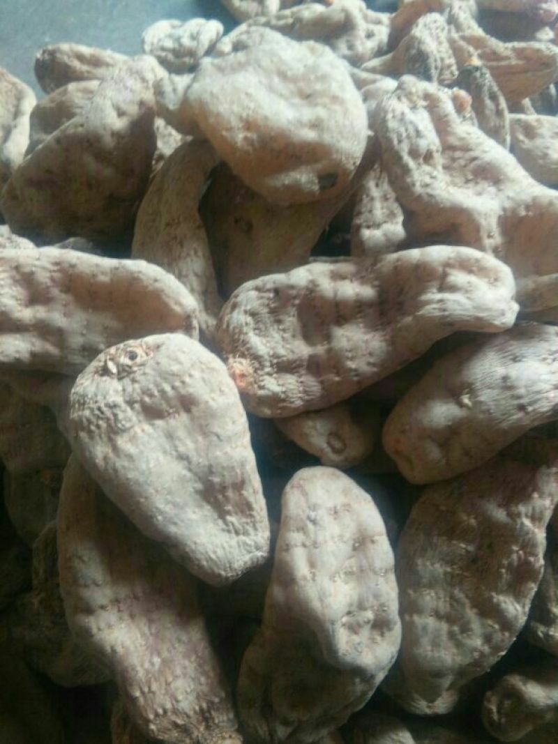 天麻特级