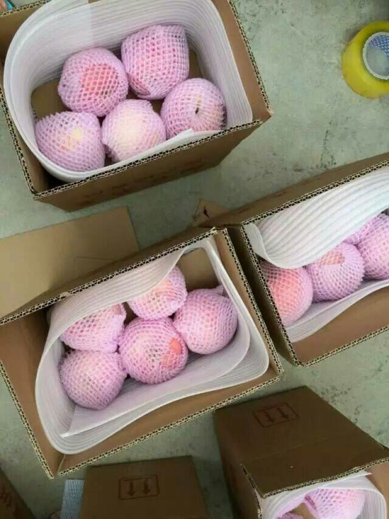 红富士苹果80mm以上纸袋
