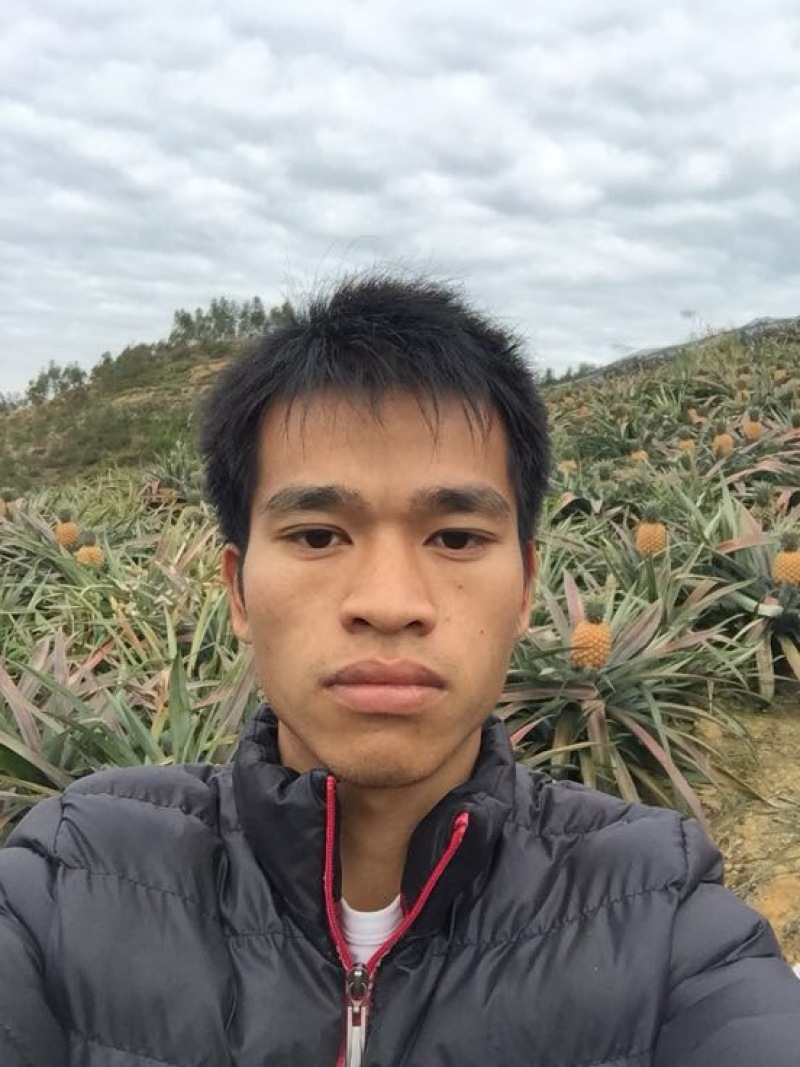 台农16