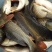 池鲤鱼食用1~2公斤