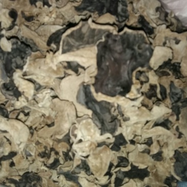木耳一级