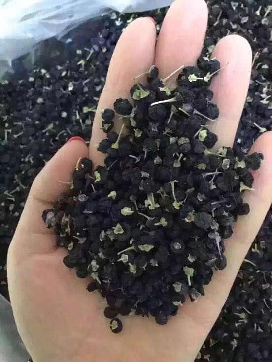 黑枸杞全国_批发_供应-一亩田农业网_专业的农