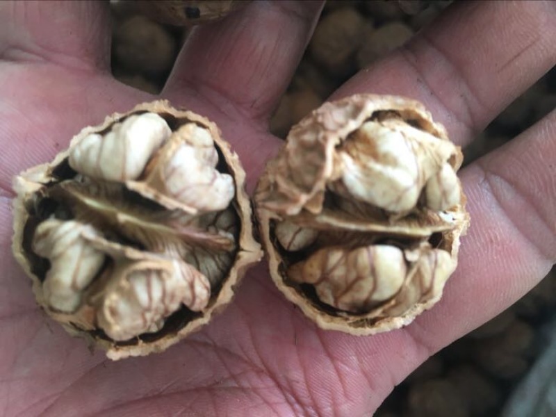 薄皮核桃30mm以上去皮干