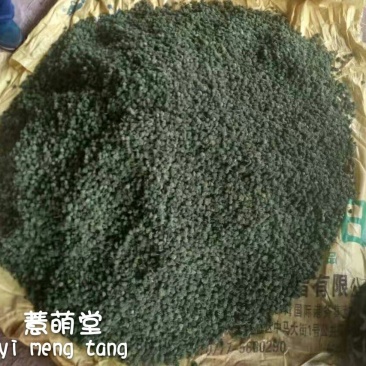三七花无柄