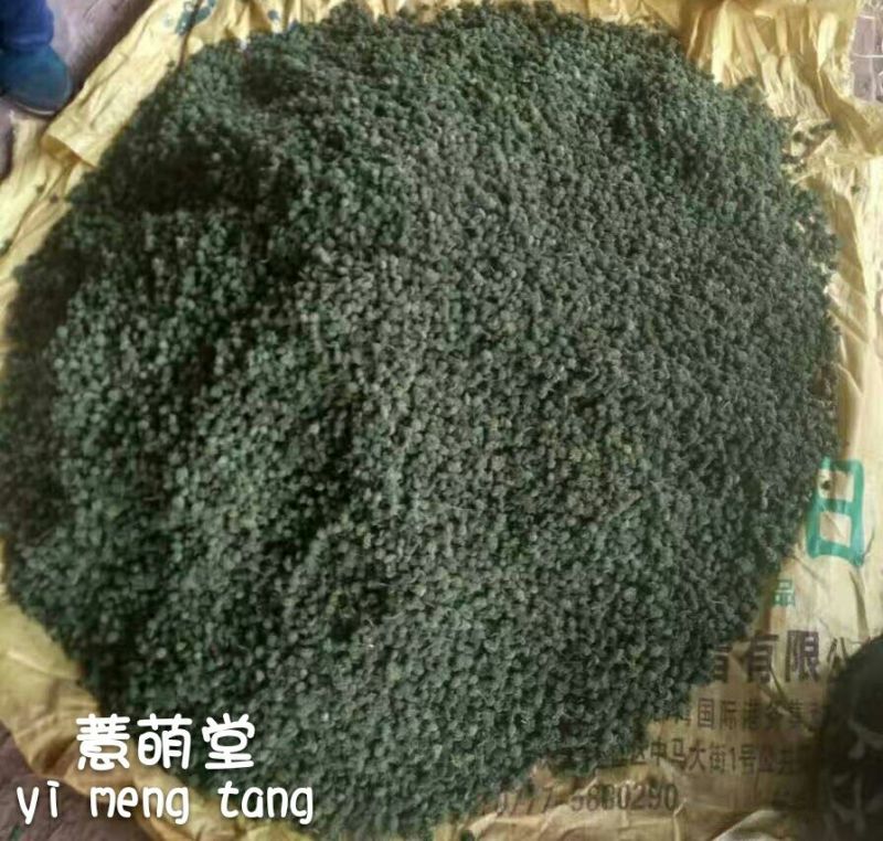 三七花无柄