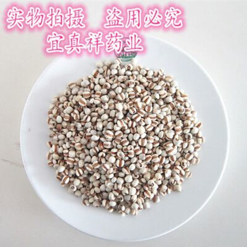 薏苡仁