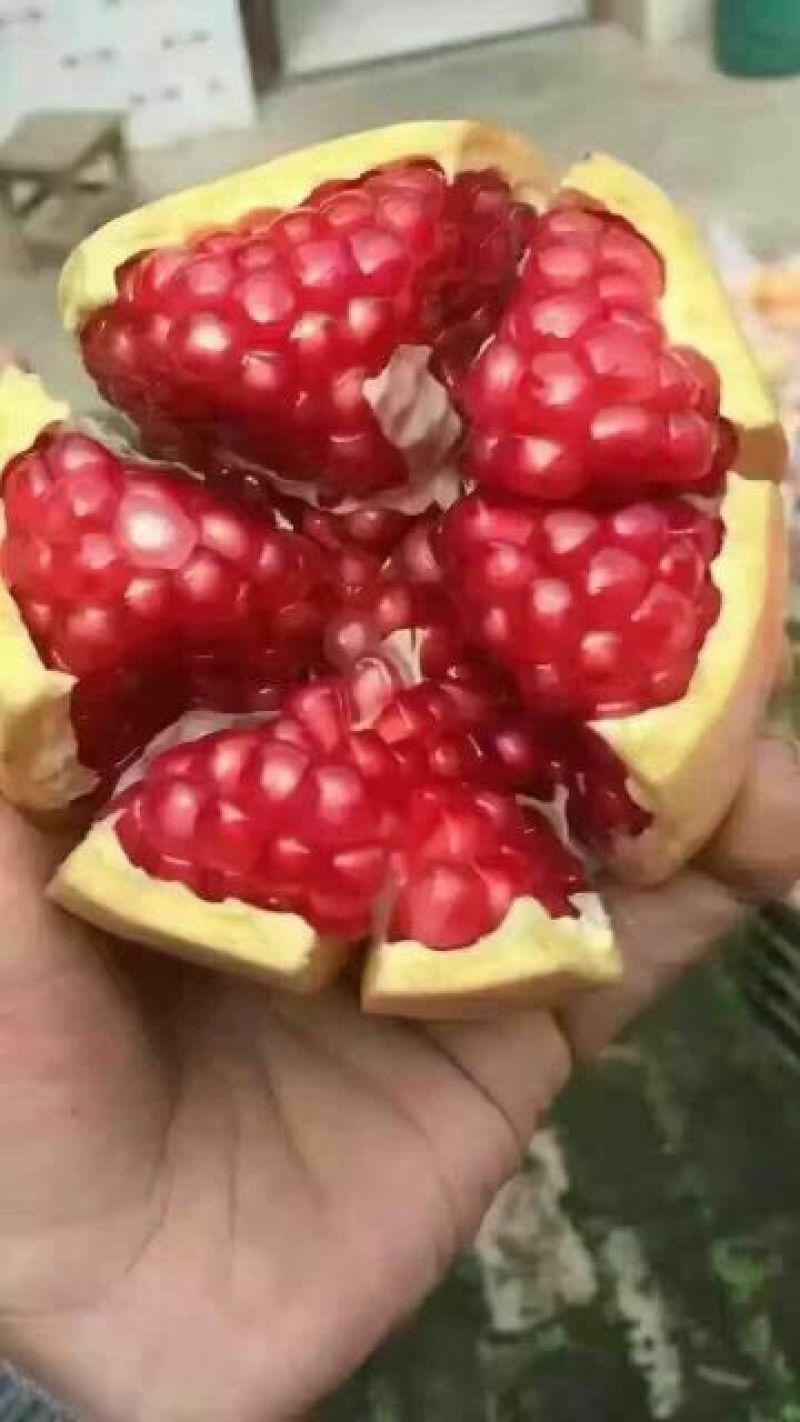 柿饼2~2.5两
