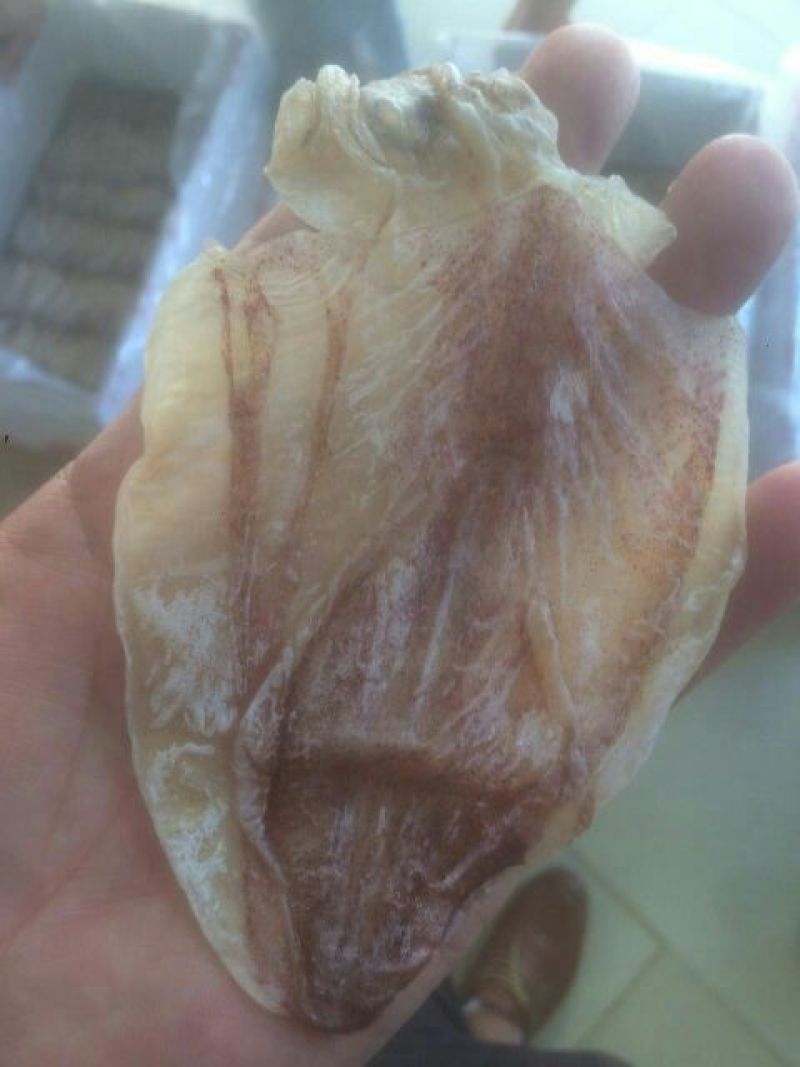 鱿鱼干包装