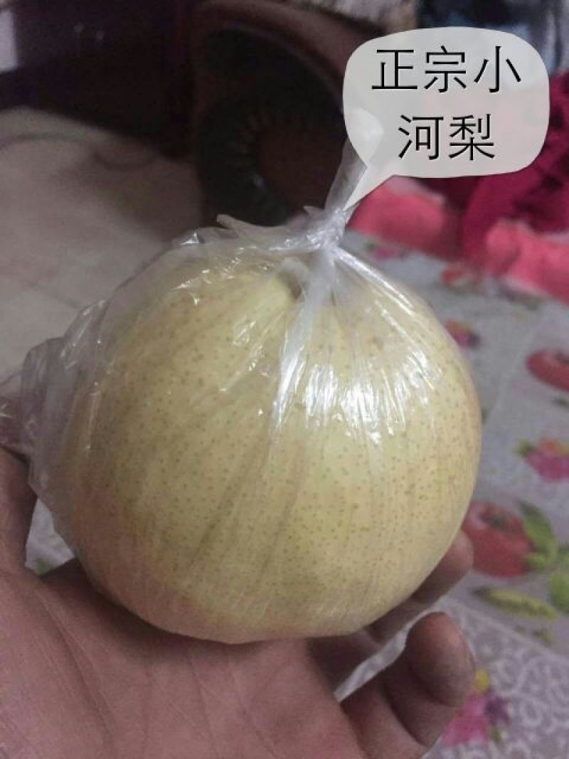 酥梨550~600g纸袋